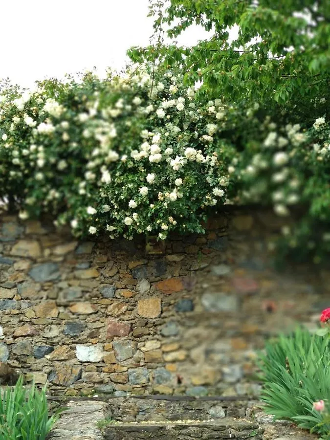 Villa Irene Fuenteheridos Holiday home